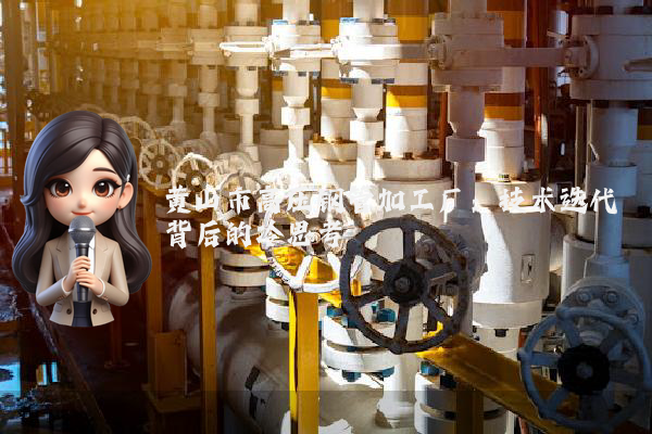 黄山市高压钢管加工厂:技术迭代背后的冷思考 黄山市高压钢管加工厂:技术迭代背后的冷思考